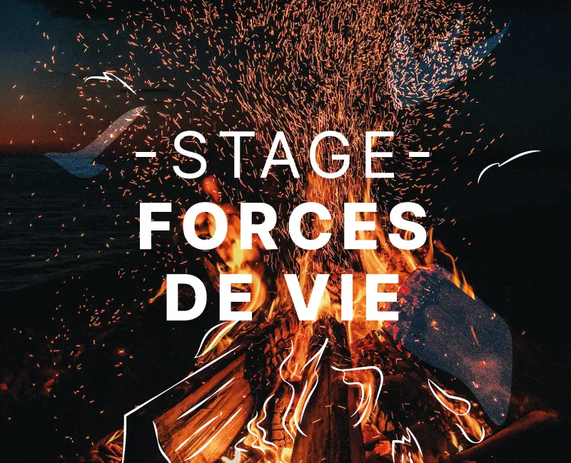 stage-forces-de-vie