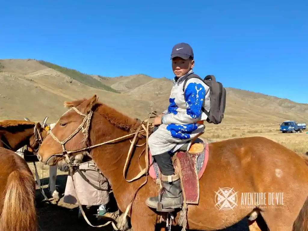 mongolie unisun cheval