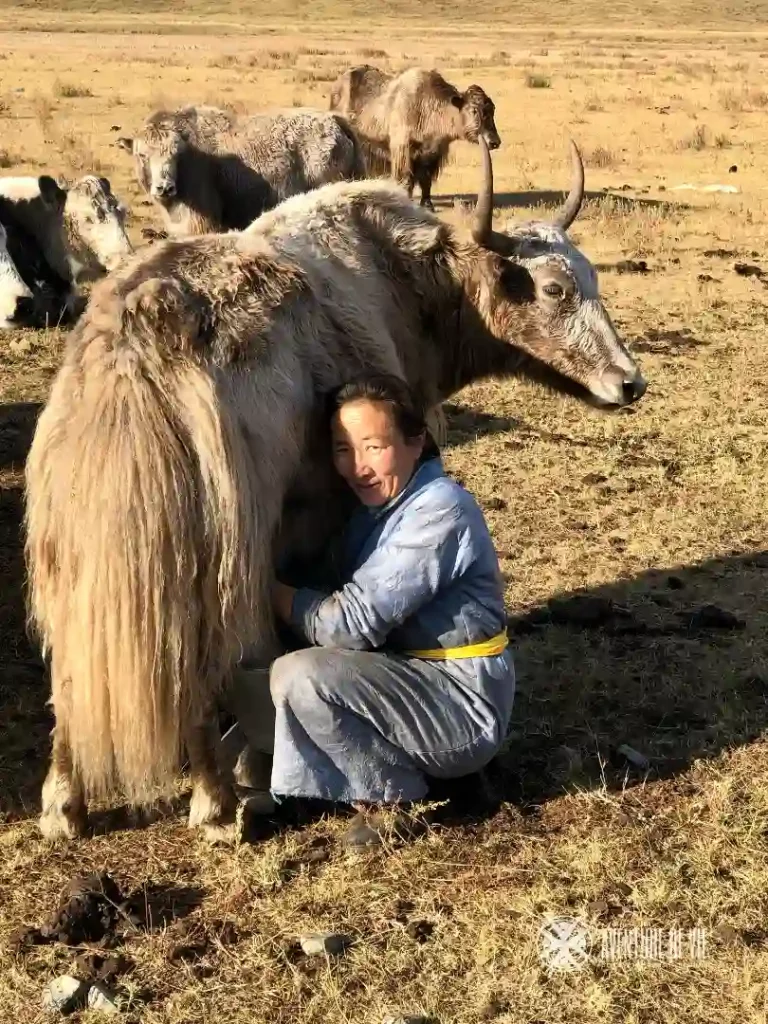peuple mongolie unisun